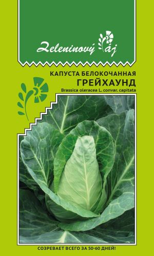 Капуста ГРЕЙХАУНД — Созревает всего за 50-60 дней!