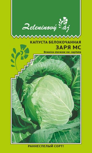 Капуста ЗАРЯ МС — Раннеспелый сорт!