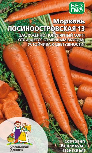Морковь ЛОСИНООСТРОВСКАЯ 13 — Заслуженно популярный сорт! Отличается отменным вкусом! Устойчива к цветушности!