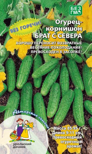 Огурец БРАТ С СЕВЕРА — Хорошо переносит возвратные июньские заморозки! Превосходен в засолке!