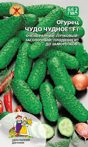 Огурец ЧУДО ЧУДНОЕ® F1 — Очень ранний, пучковый, засолочный! Плодоносит до заморозков!