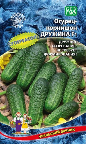 Огурец ДРУЖИНА F1 — Дружное созревание! Не требует формирования! Суперзасол!
