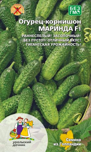 Огурец МАРИНДА F1 — Раннеспелый, засолочный с отличным вкусом! Гигантская урожайность!