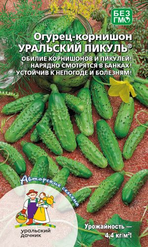 Огурец УРАЛЬСКИЙ ПИКУЛЬ — Обилие корнишонов и пикулей! Нарядно смотрится в банках! Устойчив к непогоде и болезням!
