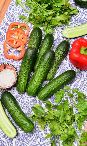 Огурец ВЫСОТКА — Зеленцы долго не перерастают! Без пустот! Вкус отличный, без горечи! Хрустящие! Идеален для засолки и консервирования!