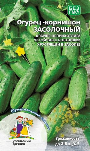 Огурец ЗАСОЛОЧНЫЙ — Неприхотливый! Устойчив к болезням! Хрустящий в засоле!