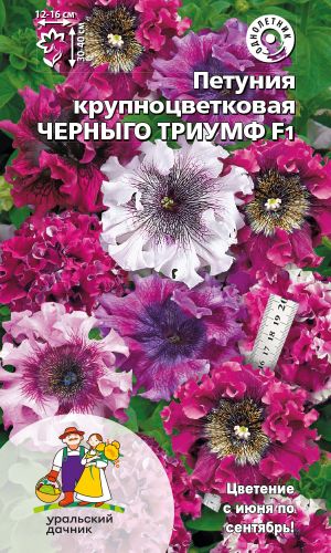 Петуния ЧЕРНЫГО ТРИУМФ F1 — диаметр цветка до 16 см!