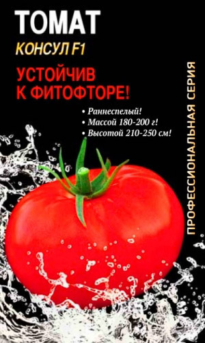 Томат КОНСУЛ F1 — Профессиональный гибрид! Устойчив к фитофторе! Раннеспелый!