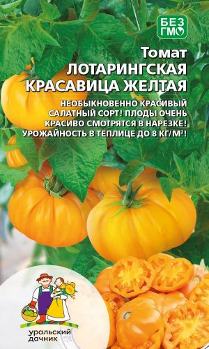 Томат ЛОТАРИНГСКАЯ КРАСАВИЦА ЖЁЛТАЯ — Восхитительный салатный сорт! До 8 кг с квадрата в теплице!