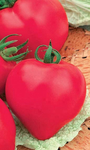 Томат РОЗОВОЕ СЕРДЦЕ — Изысканный вкус! Мякоть практически без семян! Плоды сладкие, сочные, мясистые!