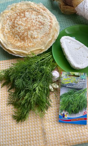 Укроп РУСИЧ — Идеален для заморозки! Кустовой! Холодостойкий! Для многократной срезки!