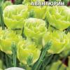 Эустома махровая (лизантус) АВАНТЮРИН